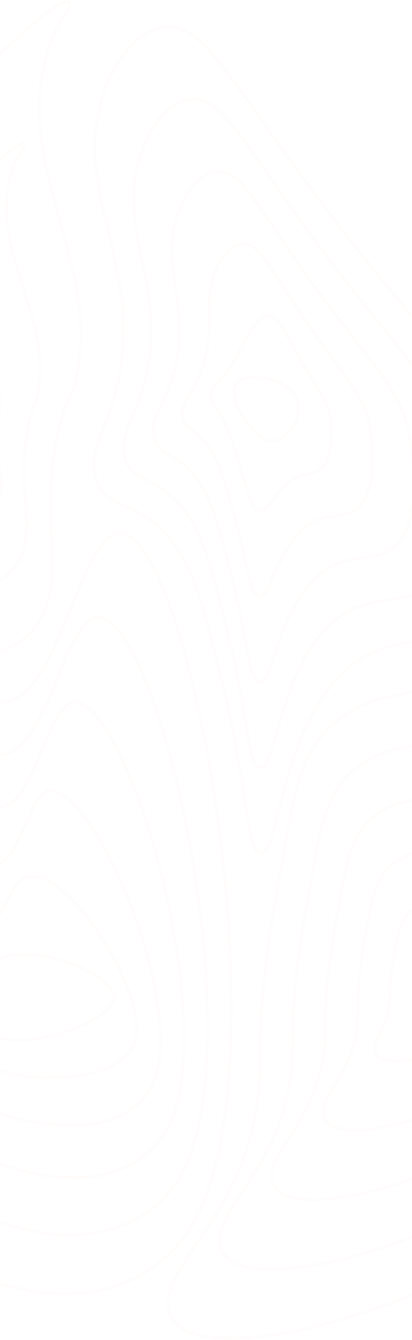 demo-attachment-424-Topographic-5